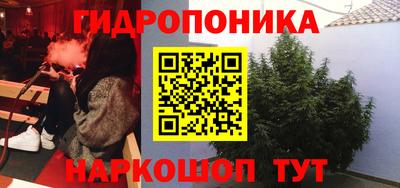 мет Гай